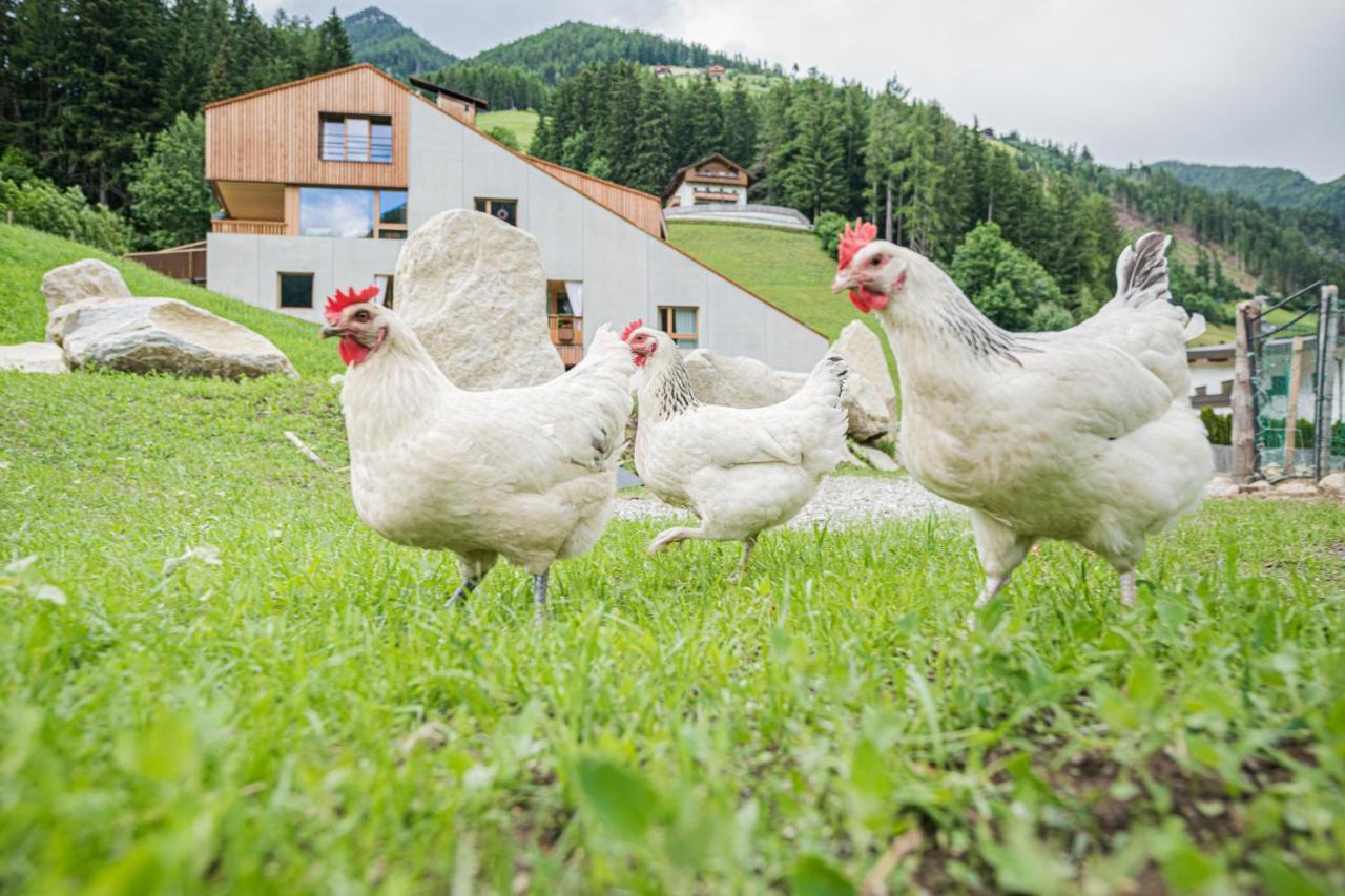 Koasa-Hof Ganzes Ferienhaus Und Sauna 5 Zimmer 240Mq Cadipietra Exterior foto